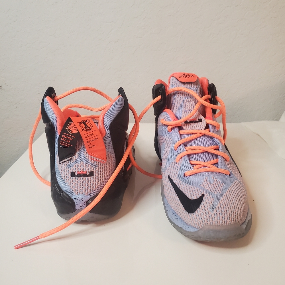 Nike lebron 4.5
